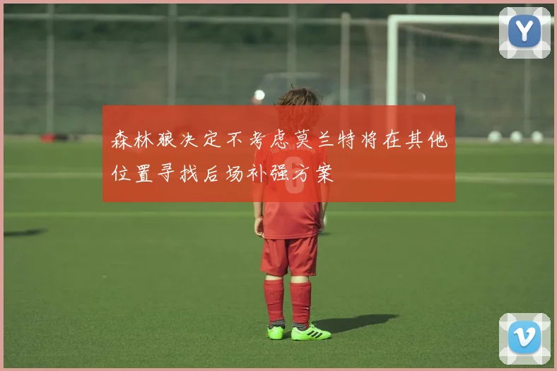 森林狼决定不考虑莫兰特将在其他位置寻找后场补强方案